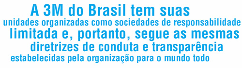 M Relat Rio Anual De Sustentabilidade